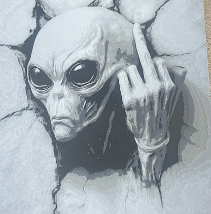 Aliens Reviewed Earth