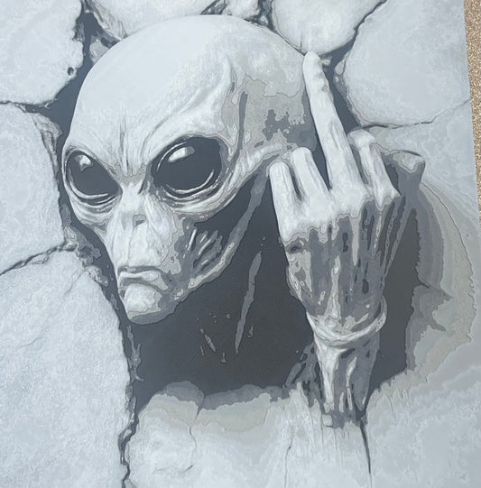 Aliens Reviewed Earth