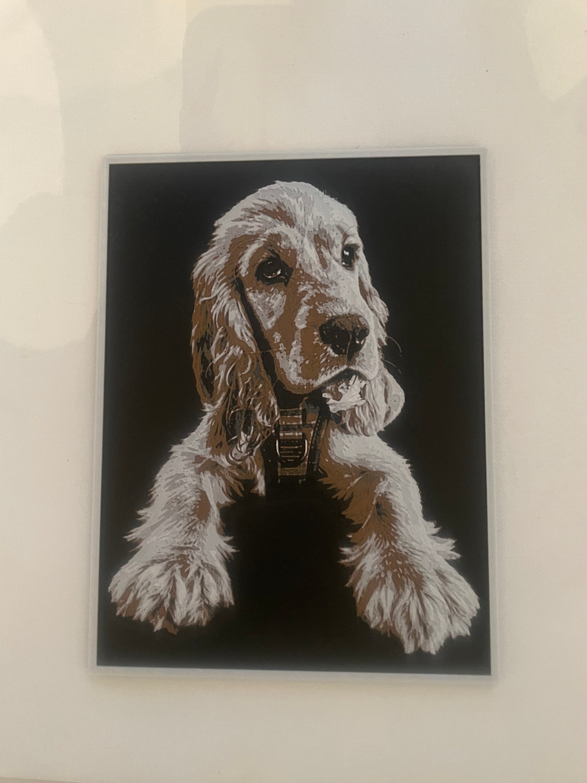 Pet Photo HueForge