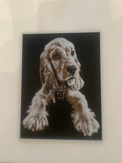 Pet Photo HueForge